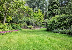 Optimiser l'expérience du jardin à Montessaux
